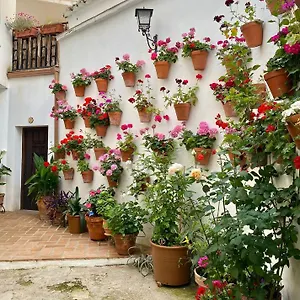 Amal Córdoba